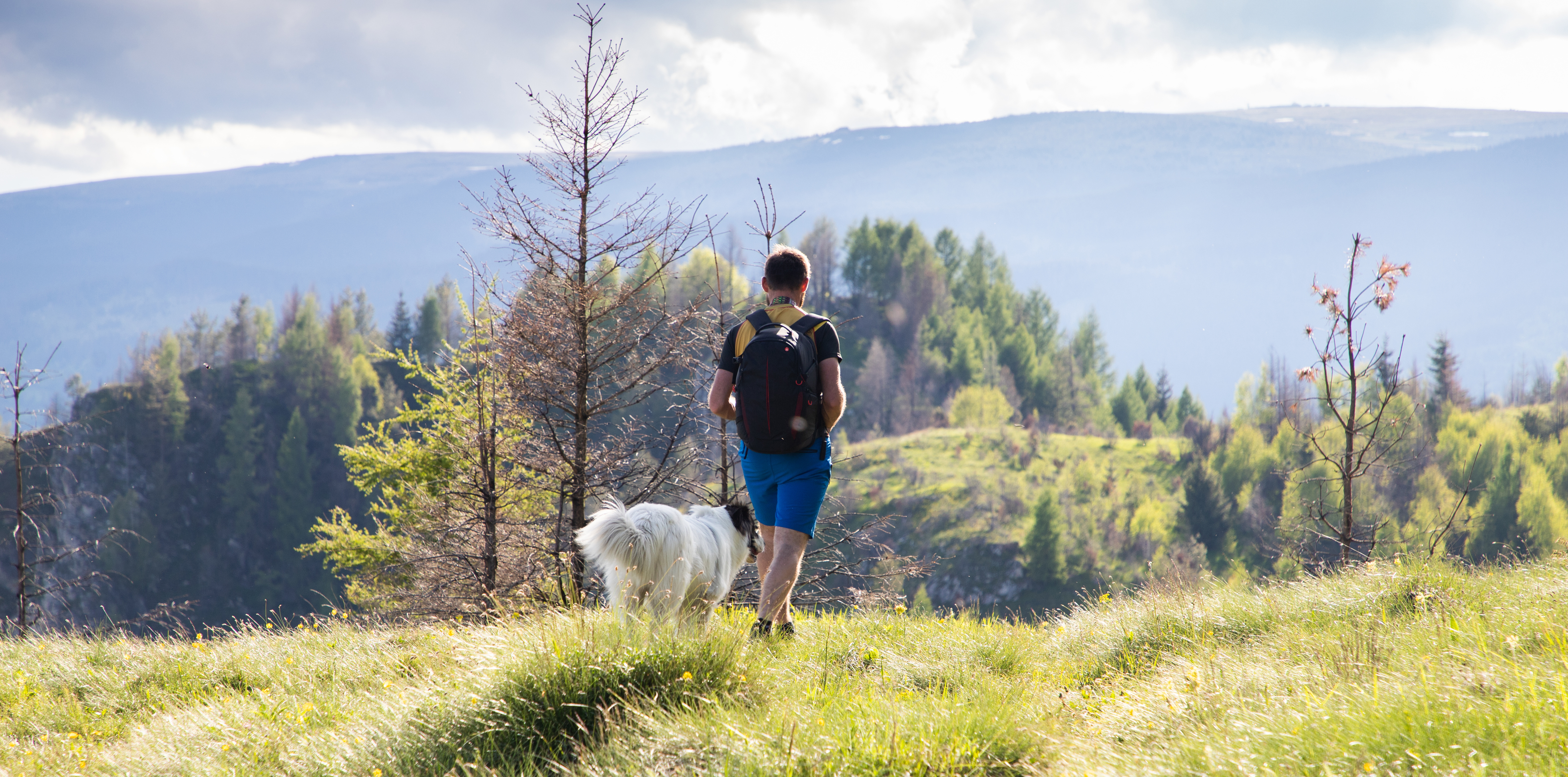 Man and dog walking away from the camera down a hiking trail into the mountains on a sunny day.