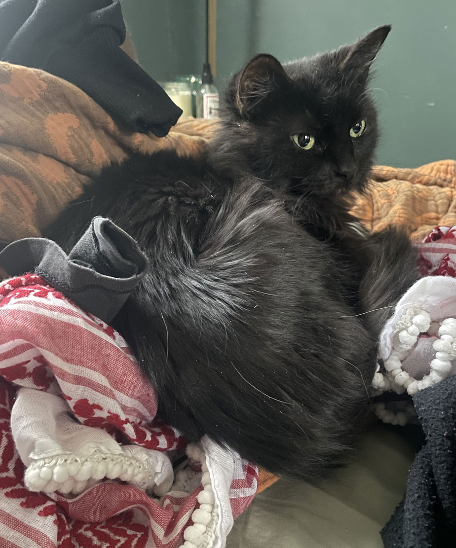 A black cat lays in a pile of laundry on a bed.